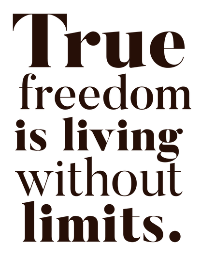 Freedom - Oversized Classic T-Shirt